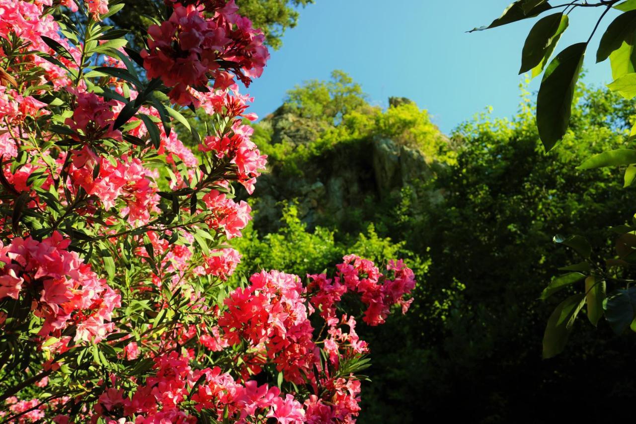 Simge Pension Çıralı Exterior foto